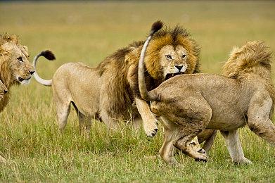 3D Realms新FPS《怒火：永恒遗迹》明年2月正式发售